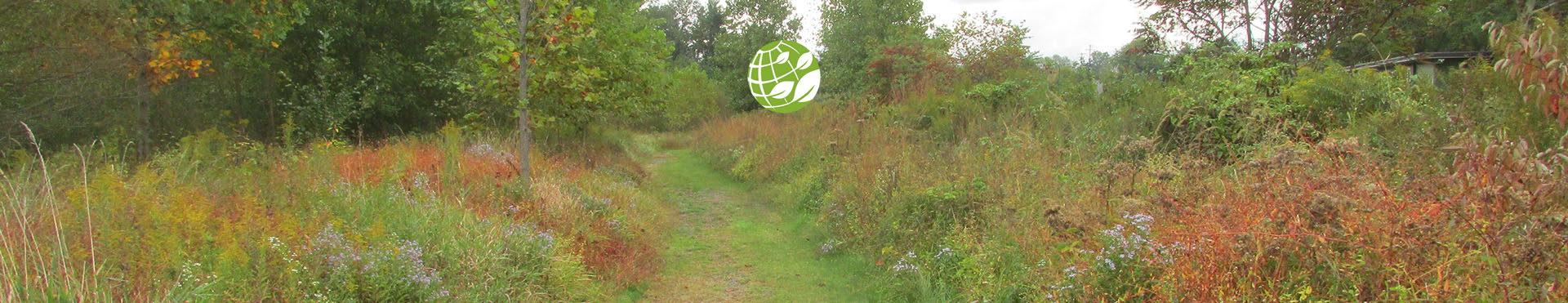 A.D. Marble Sustainability Market