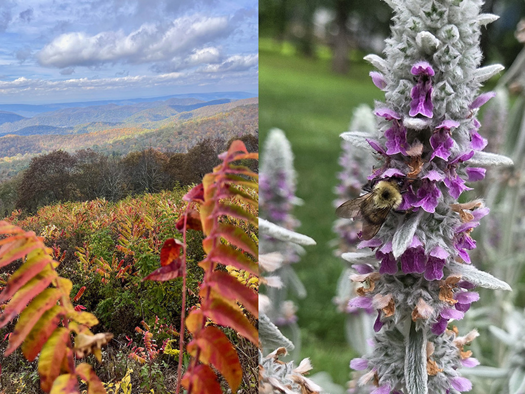 Shenandoah National Park