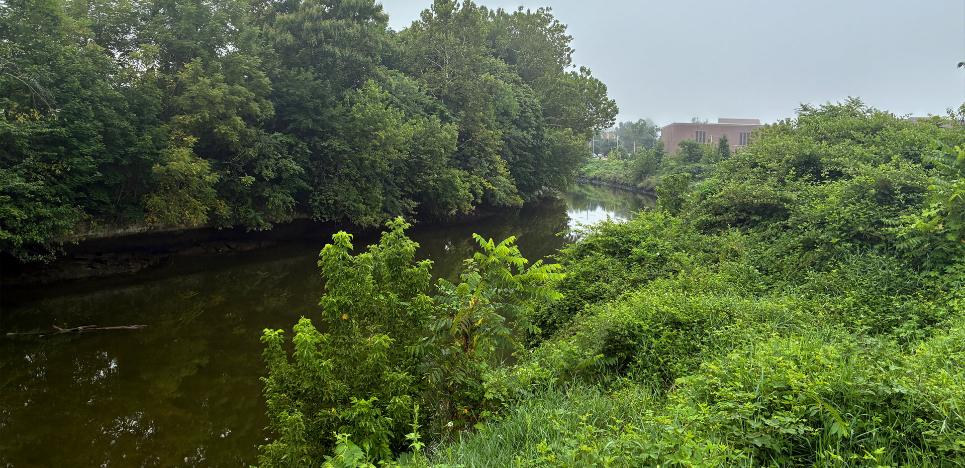 CHESTER-CREEK-TRAIL-2